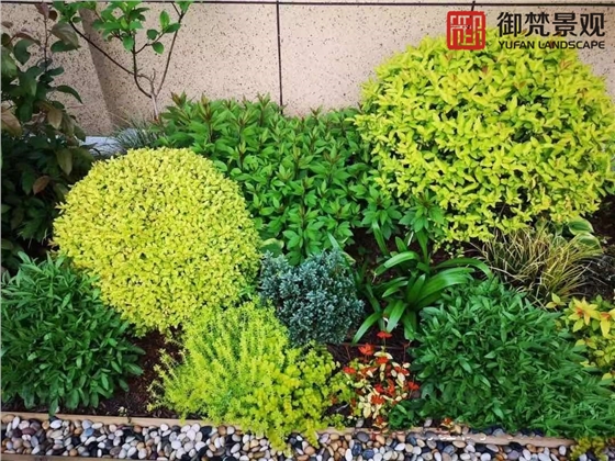 现代别墅屋顶花园