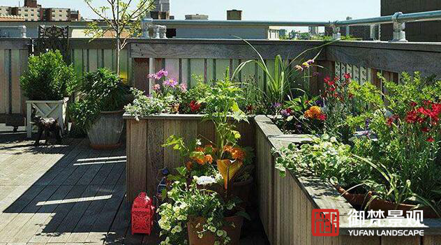 屋顶花卉的栽培要点有哪些？屋顶花园设计