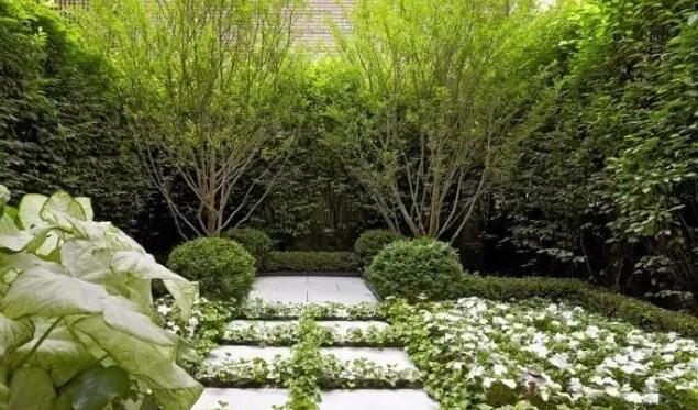 如何让小庭院变身大空间、庭院设计