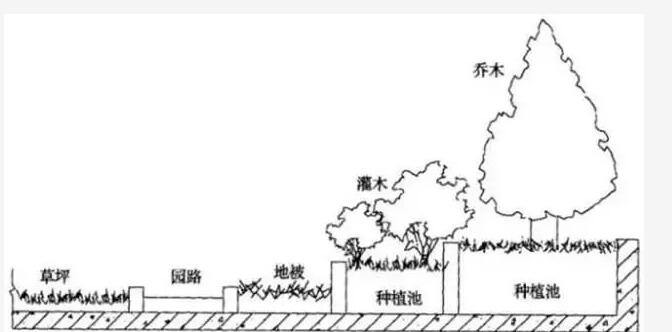 屋顶花园设计